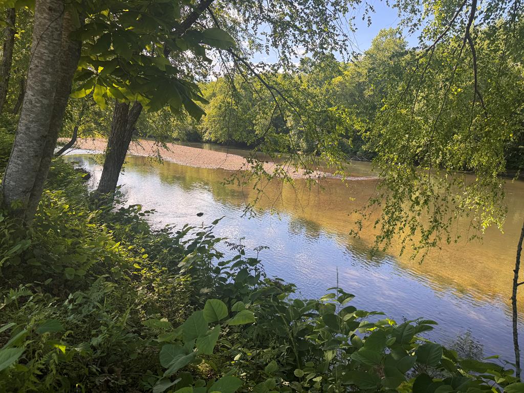 1733 Grassy Creek Road Copperhill, TN 37317 - Photo 19 of 26 a view of a lake with a yard