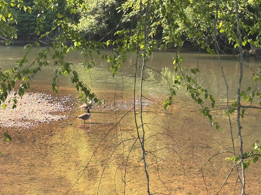 1733 Grassy Creek Road Copperhill, TN 37317 - Photo 22 of 26 a view of lake