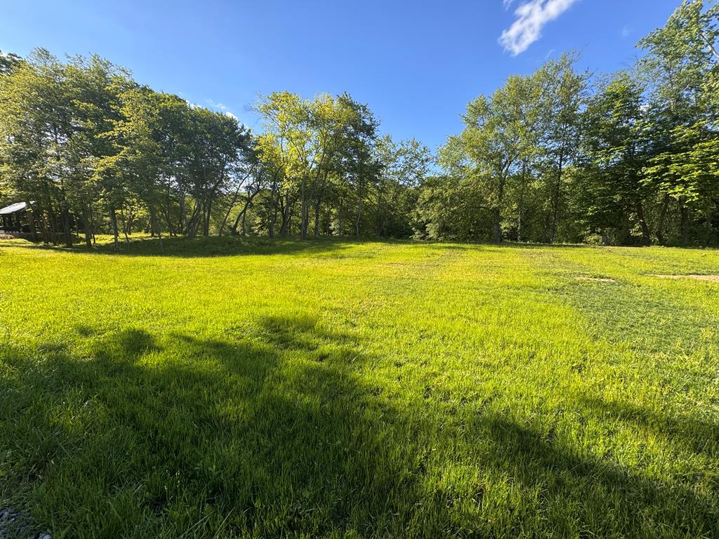 1733 Grassy Creek Road Copperhill, TN 37317 - Photo 24 of 26 a view of an ocean from a yard