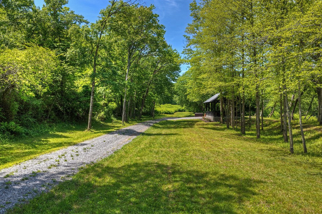 1733 Grassy Creek Road Copperhill, TN 37317 - Photo 6 of 26 a view of a backyard with swimming pool