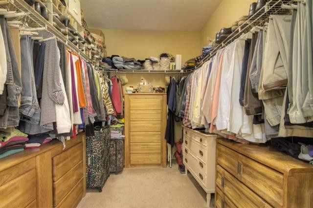 868 Reed Road Ten Mile, TN 37880 - Photo 17 of 40 a view of walk in closet with clothes and shoes
