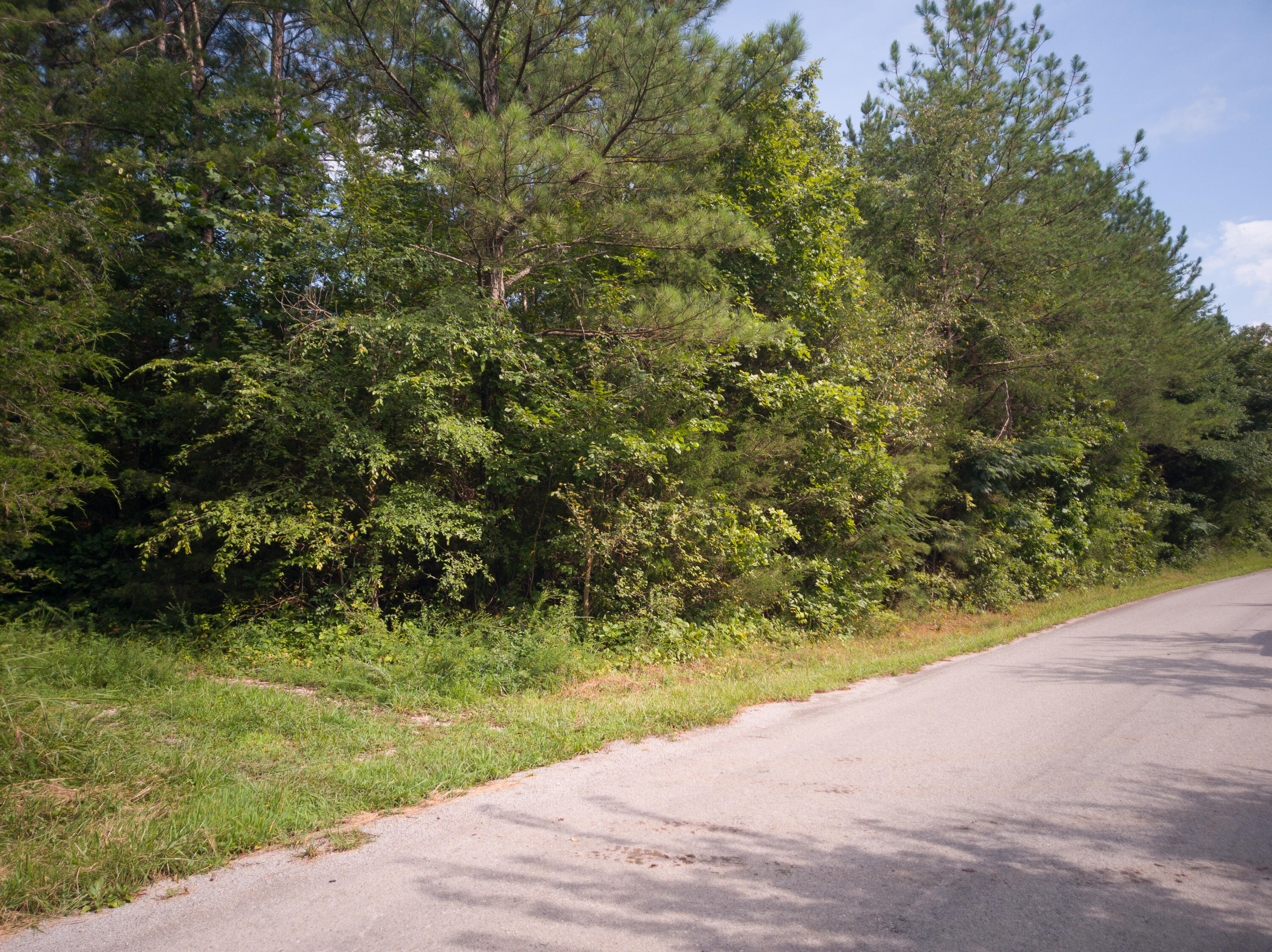 79.49-ac South 79.49-ac Street Decatur, TN 37322 - Photo 1 of 18 Rip RD 2