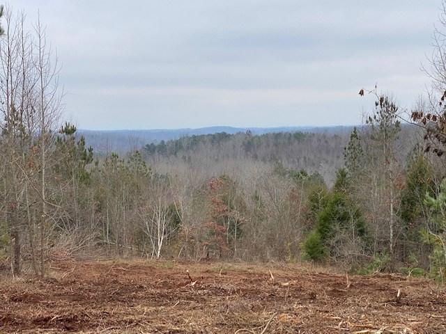 79.49-ac South 79.49-ac Street Decatur, TN 37322 - Photo 14 of 18 40 s no pone 5