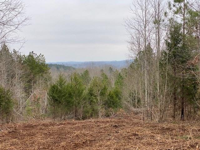 79.49-ac South 79.49-ac Street Decatur, TN 37322 - Photo 15 of 18 40 s no pone 4