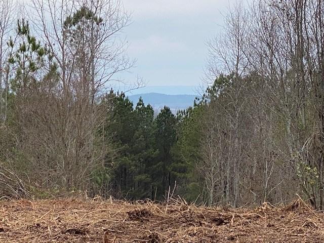 79.49-ac South 79.49-ac Street Decatur, TN 37322 - Photo 17 of 18 40 s no pone 2