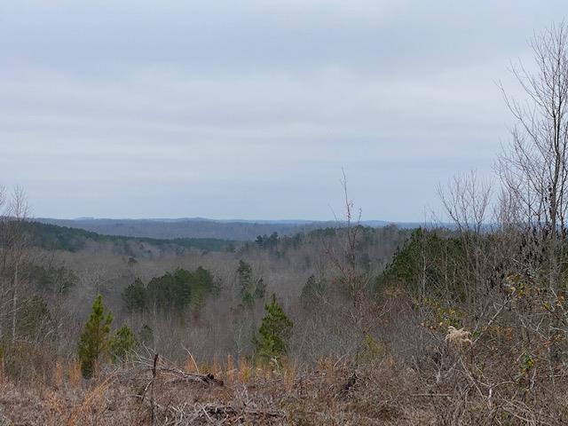 79.49-ac South 79.49-ac Street Decatur, TN 37322 - Photo 18 of 18 40 s no pone