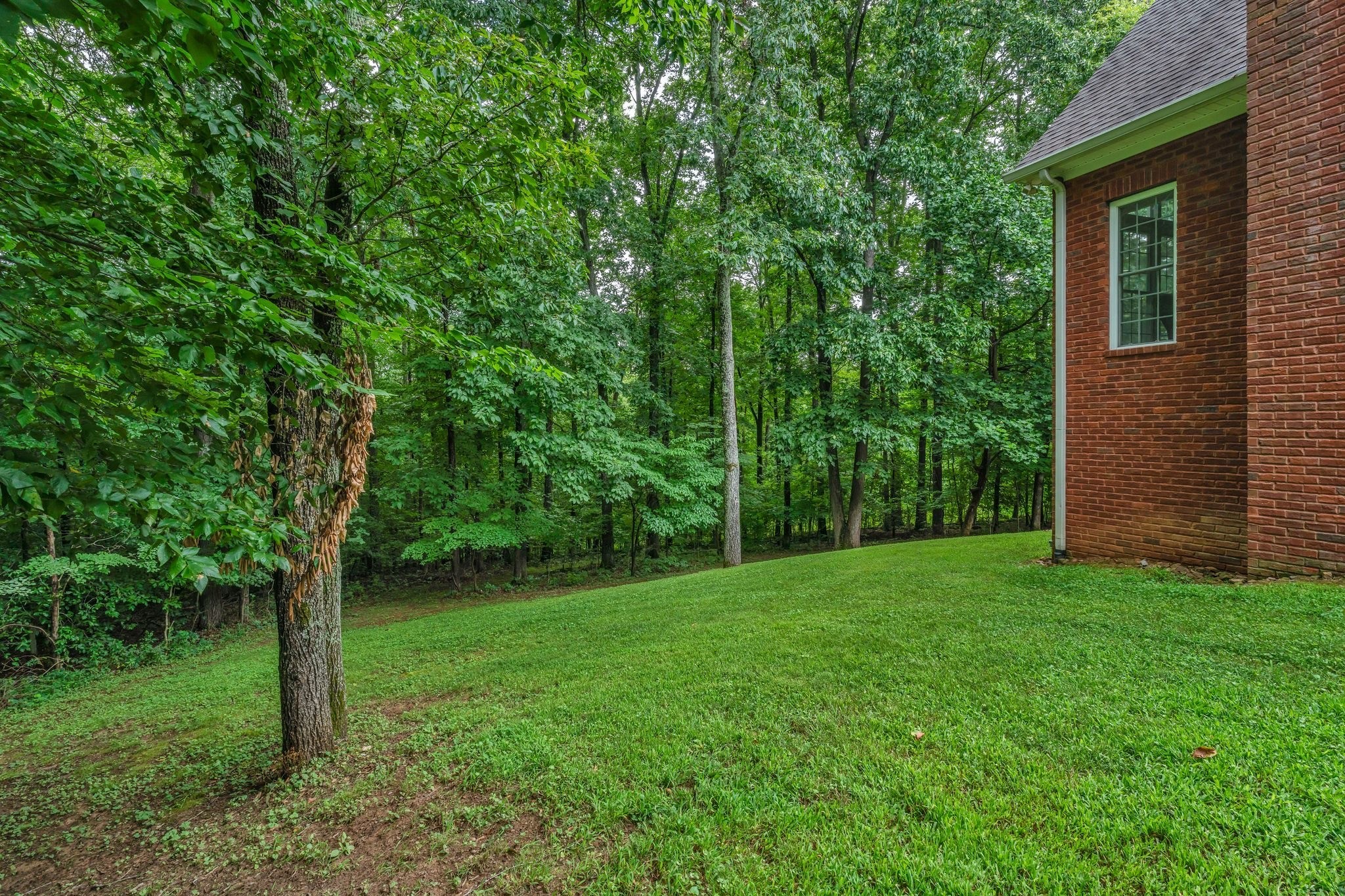 5462 Drye Run Road Joelton, TN 37080 - Photo 47 of 60 Gallery Image 47