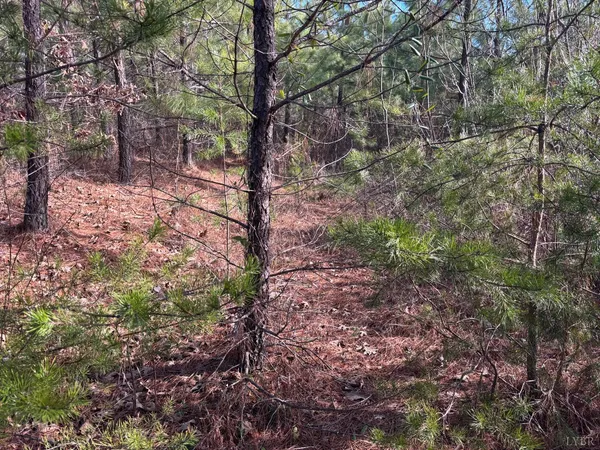 $105,000 | 0 Mohawk, Long Island, VA 24569