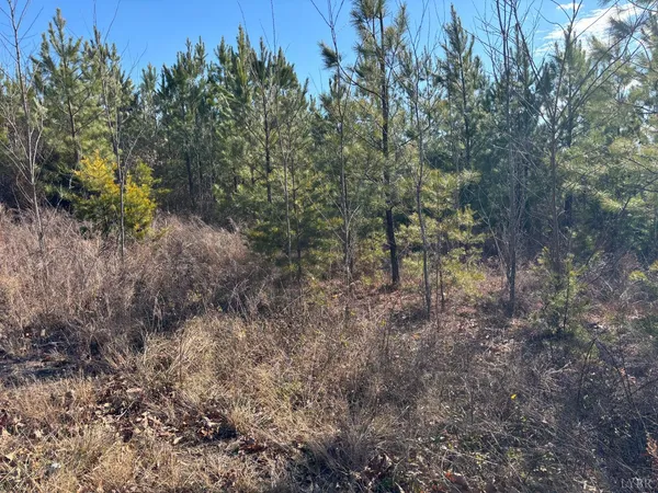 $105,000 | 0 Mohawk, Long Island, VA 24569