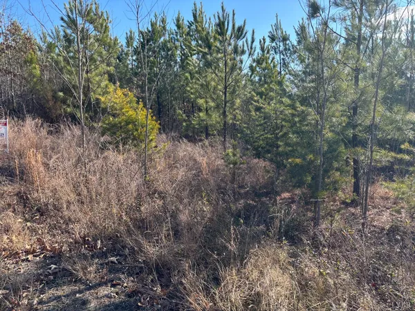 $105,000 | 0 Mohawk, Long Island, VA 24569