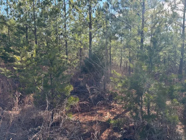 $105,000 | 0 Mohawk, Long Island, VA 24569