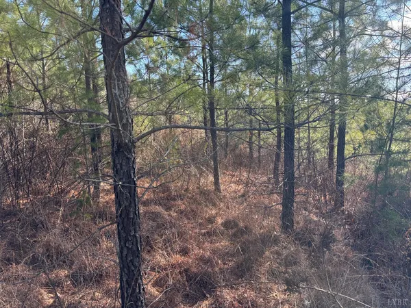 $105,000 | 0 Mohawk, Long Island, VA 24569