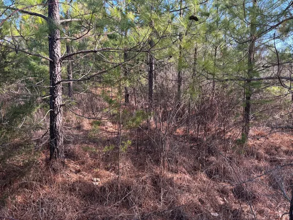 $105,000 | 0 Mohawk, Long Island, VA 24569