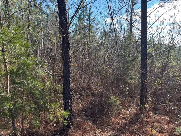 $105,000 | 0 Mohawk, Long Island, VA 24569