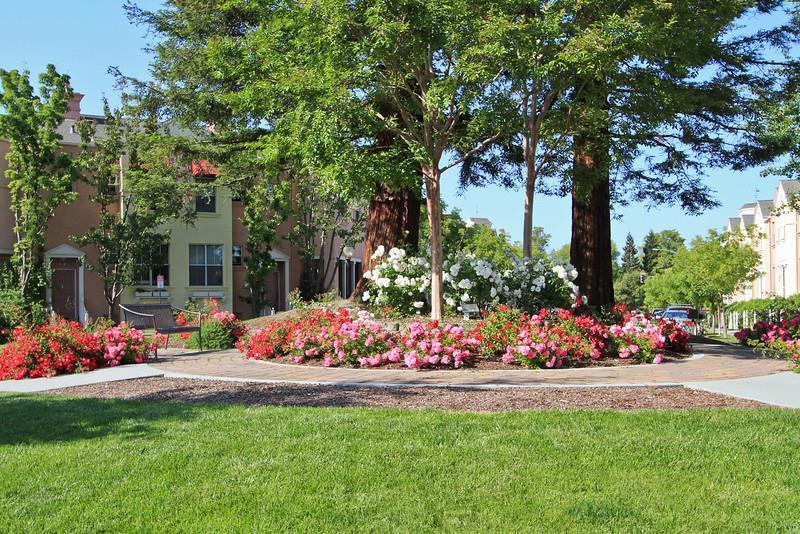 126 Pacchetti Way Mountain View, CA 94040 - Photo 4 of 39