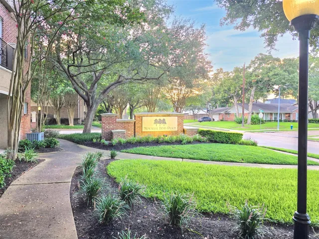 a view of a back yard with potted plants