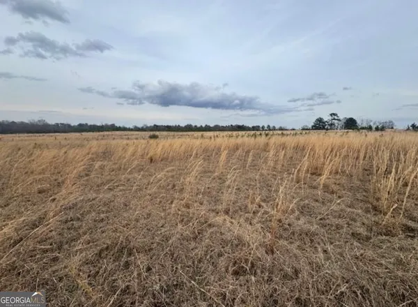 $59,900 | 0 Mark Wood Rd (lot 2), Dexter, GA 31019