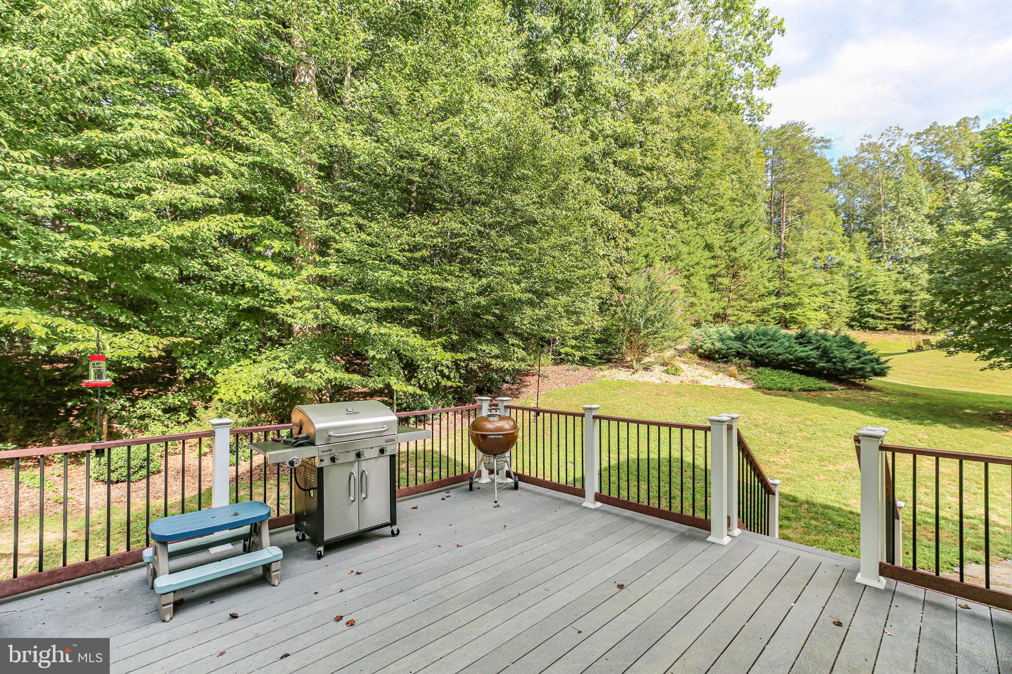 10108 Willow Ridge Lane Spotsylvania, VA 22553 - Photo 11 of 61 a view of outdoor space with deck and white garden