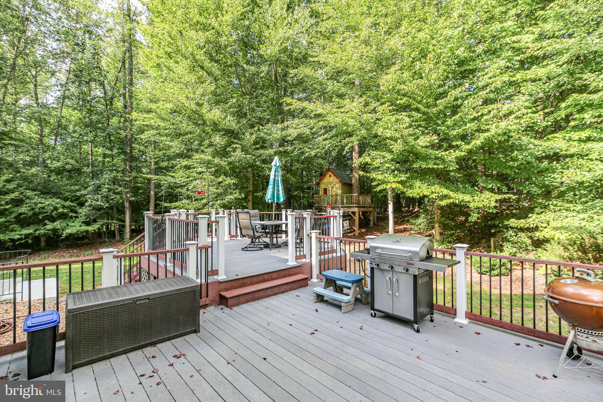 10108 Willow Ridge Lane Spotsylvania, VA 22553 - Photo 12 of 61