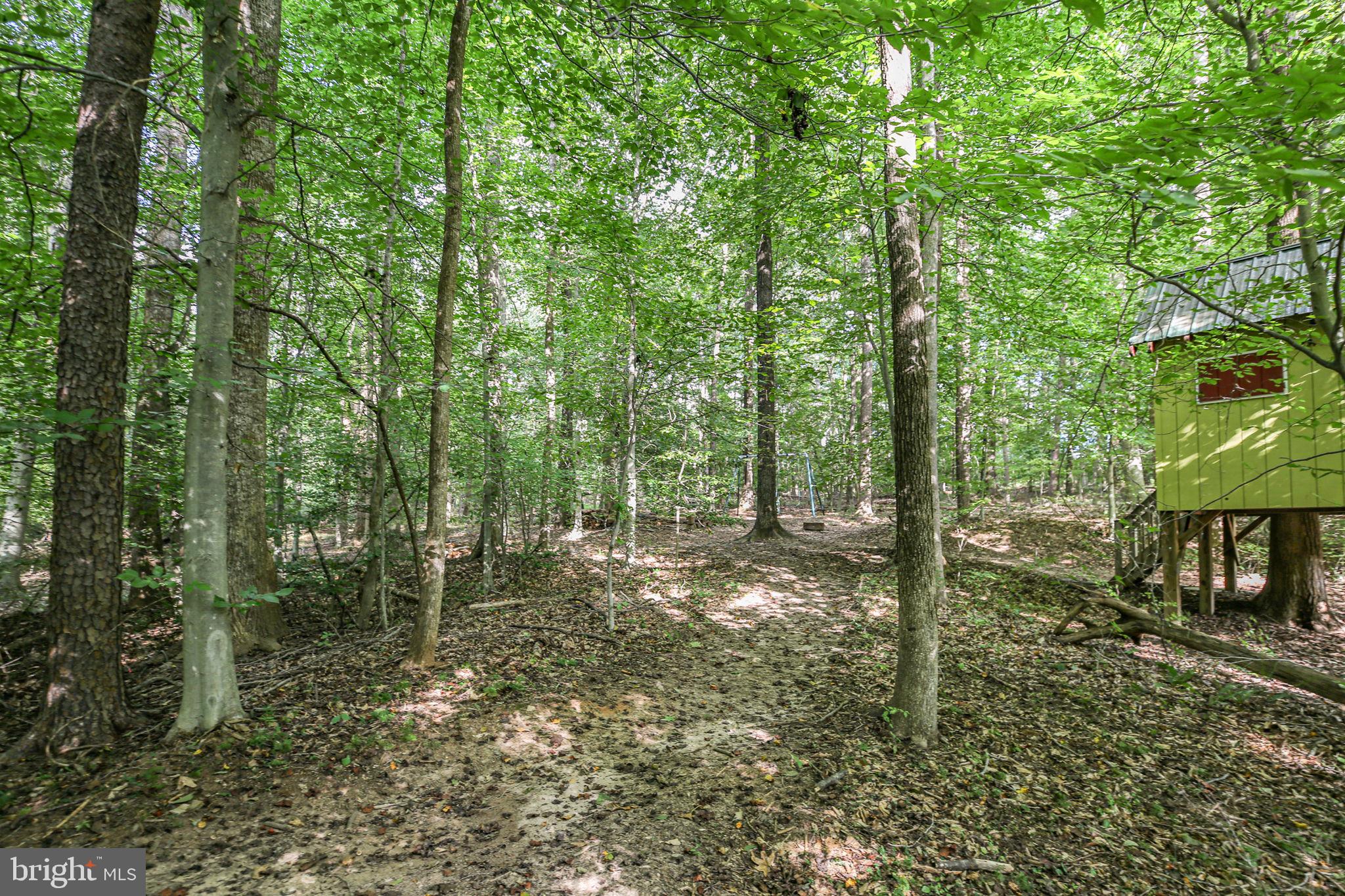 10108 Willow Ridge Lane Spotsylvania, VA 22553 - Photo 14 of 61 a view of outdoor space and trees