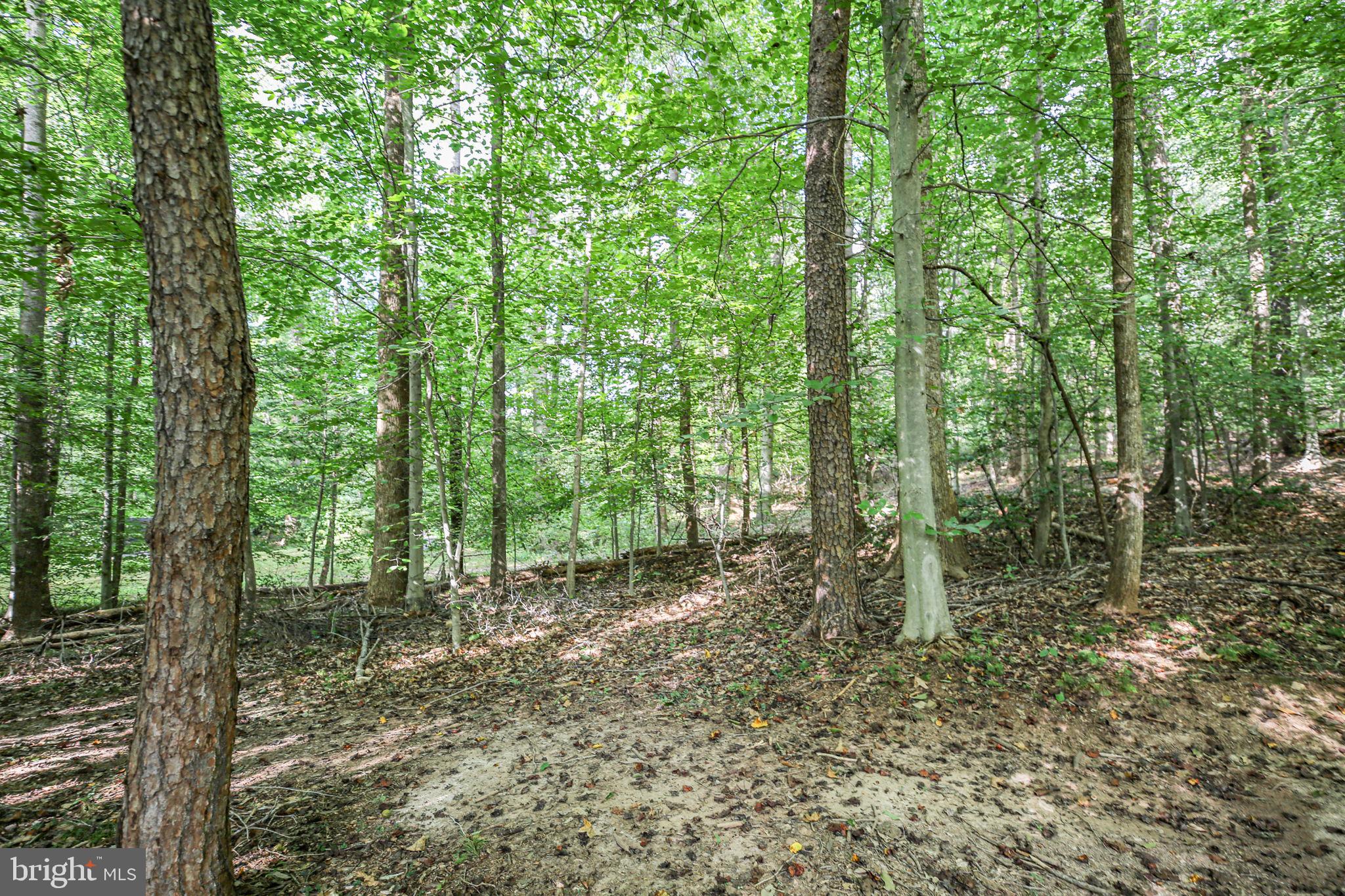 10108 Willow Ridge Lane Spotsylvania, VA 22553 - Photo 15 of 61 a view of outdoor space and green space