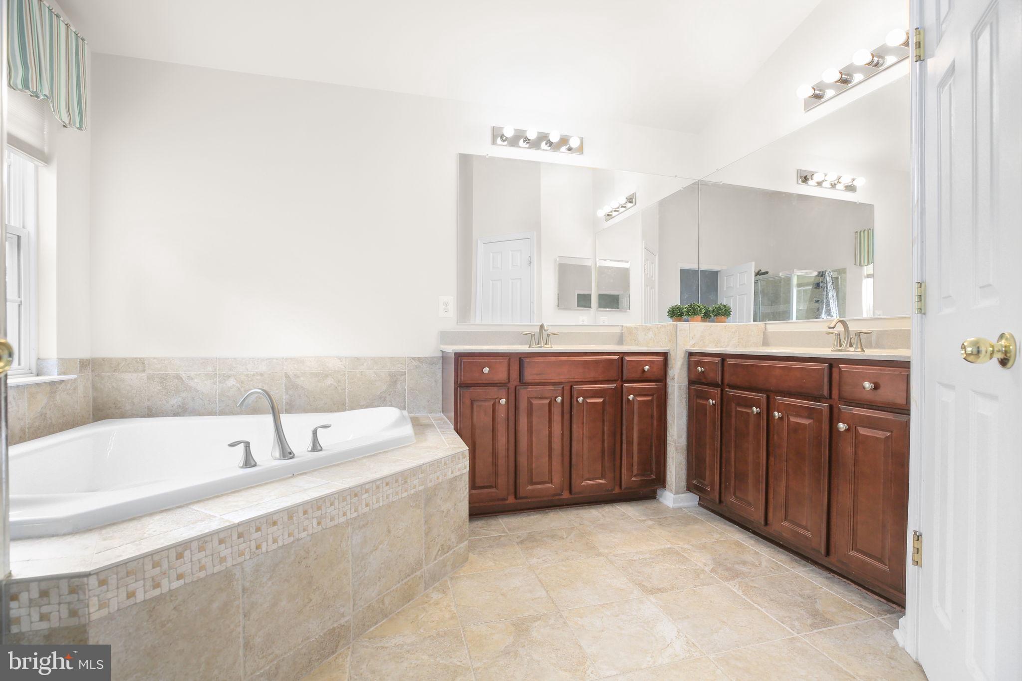 10108 Willow Ridge Lane Spotsylvania, VA 22553 - Photo 48 of 61 a spacious bathroom with a tub sink and mirror
