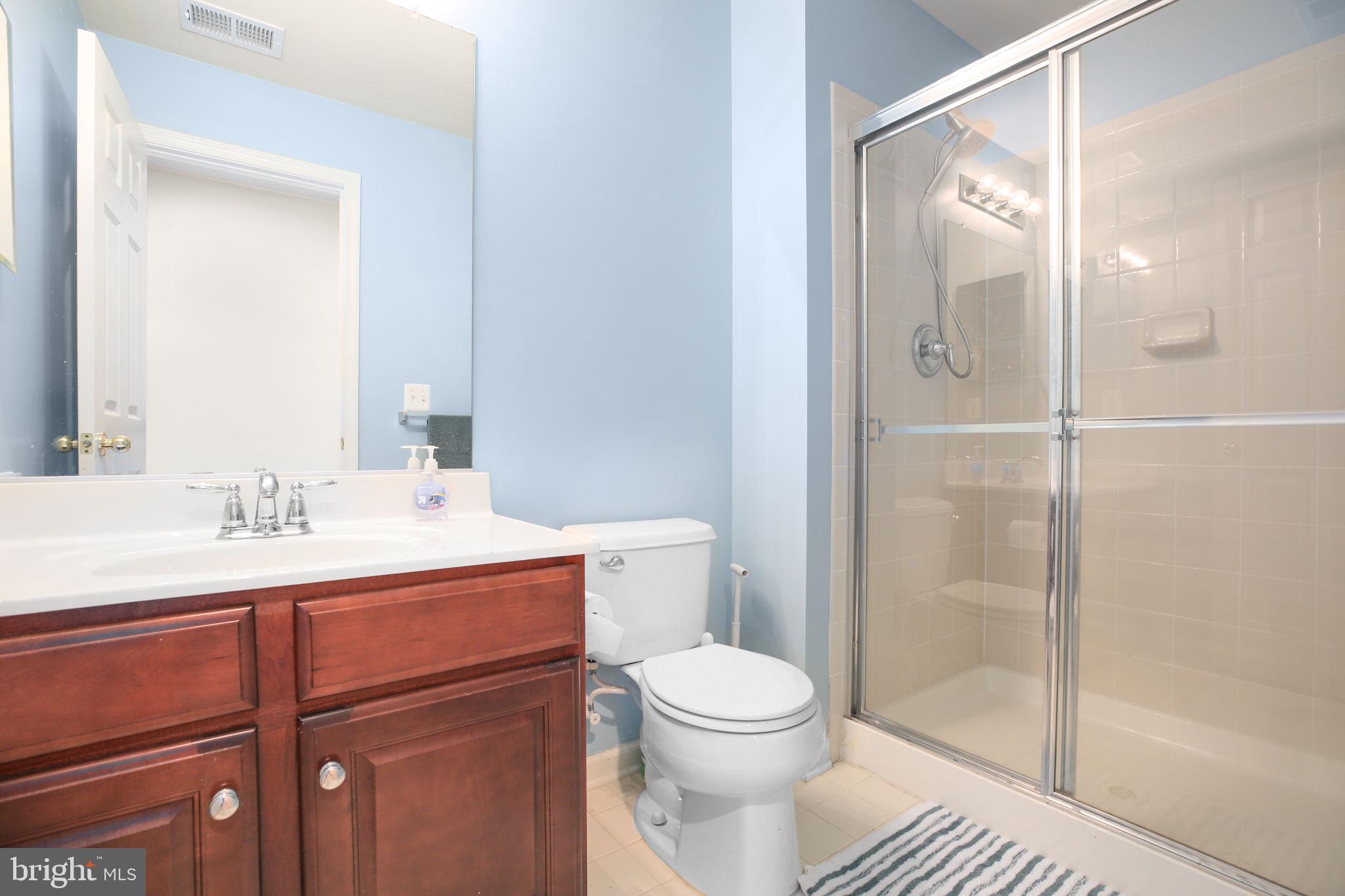 10108 Willow Ridge Lane Spotsylvania, VA 22553 - Photo 60 of 61 a bathroom with a sink a toilet and shower