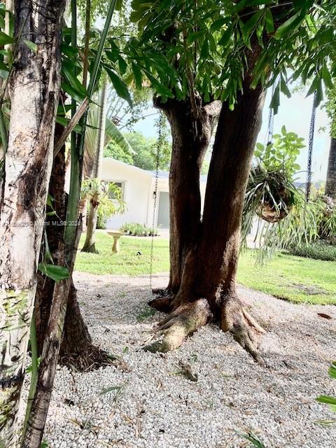 7772 Southwest 106th Terrace Pinecrest, FL 33156 - Photo 19 of 24 a view of a yard with plants and a large tree
