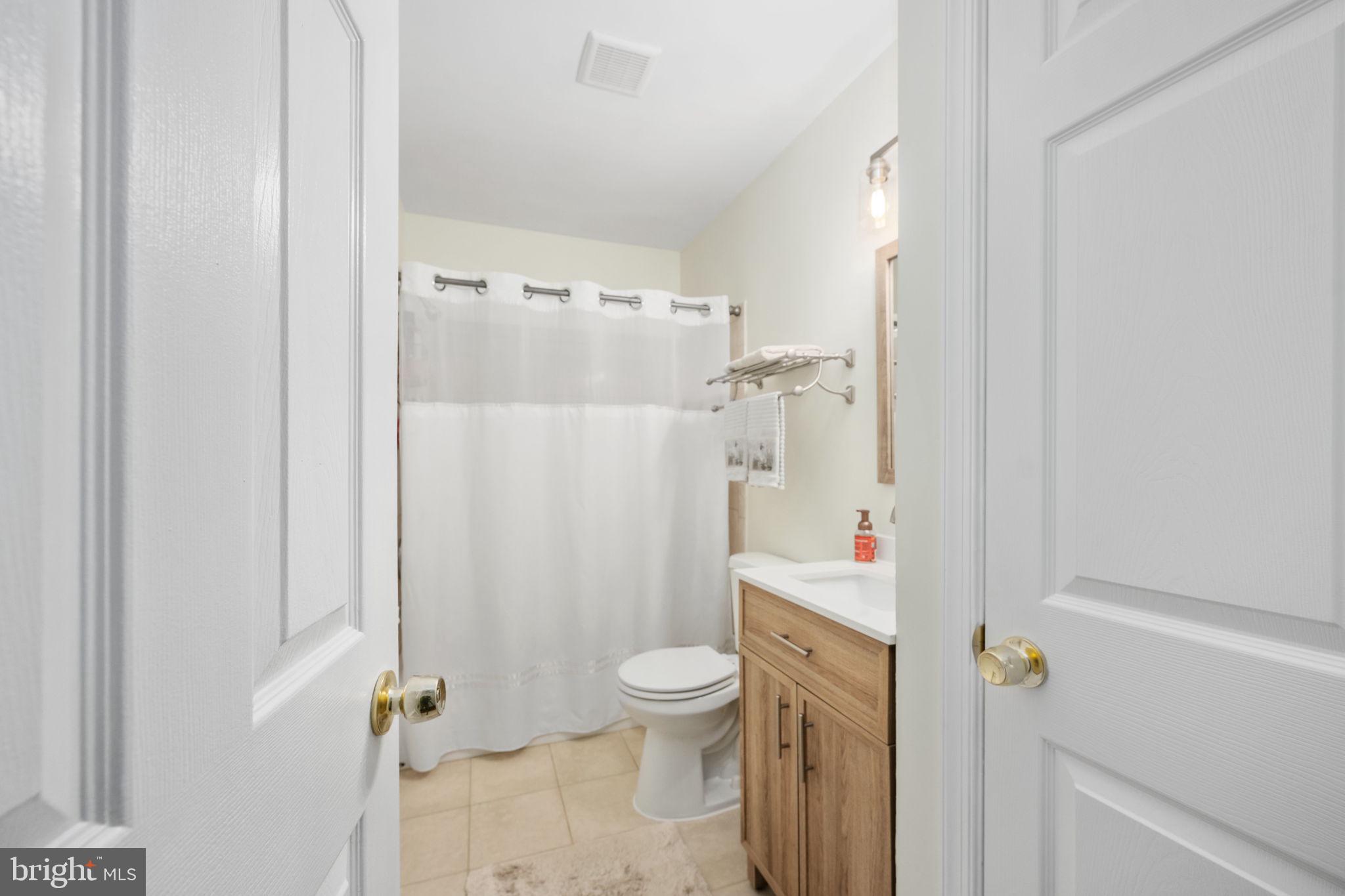 11238 Mitchell Road Rapidan, VA 22733 - Photo 42 of 93 Hall full bathroom