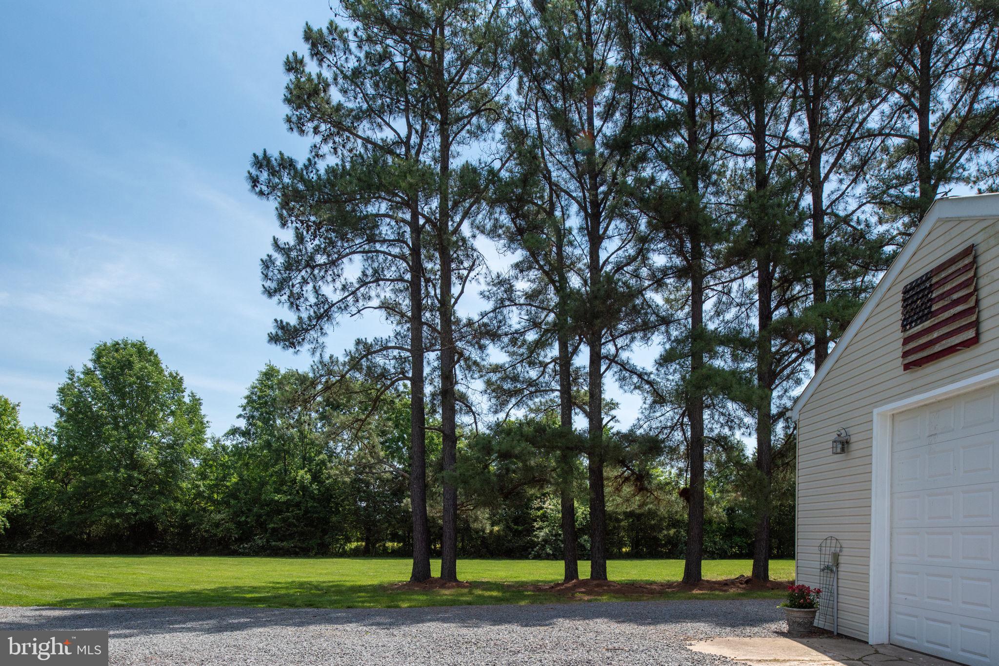 11238 Mitchell Road Rapidan, VA 22733 - Photo 70 of 93 Gallery Image 70