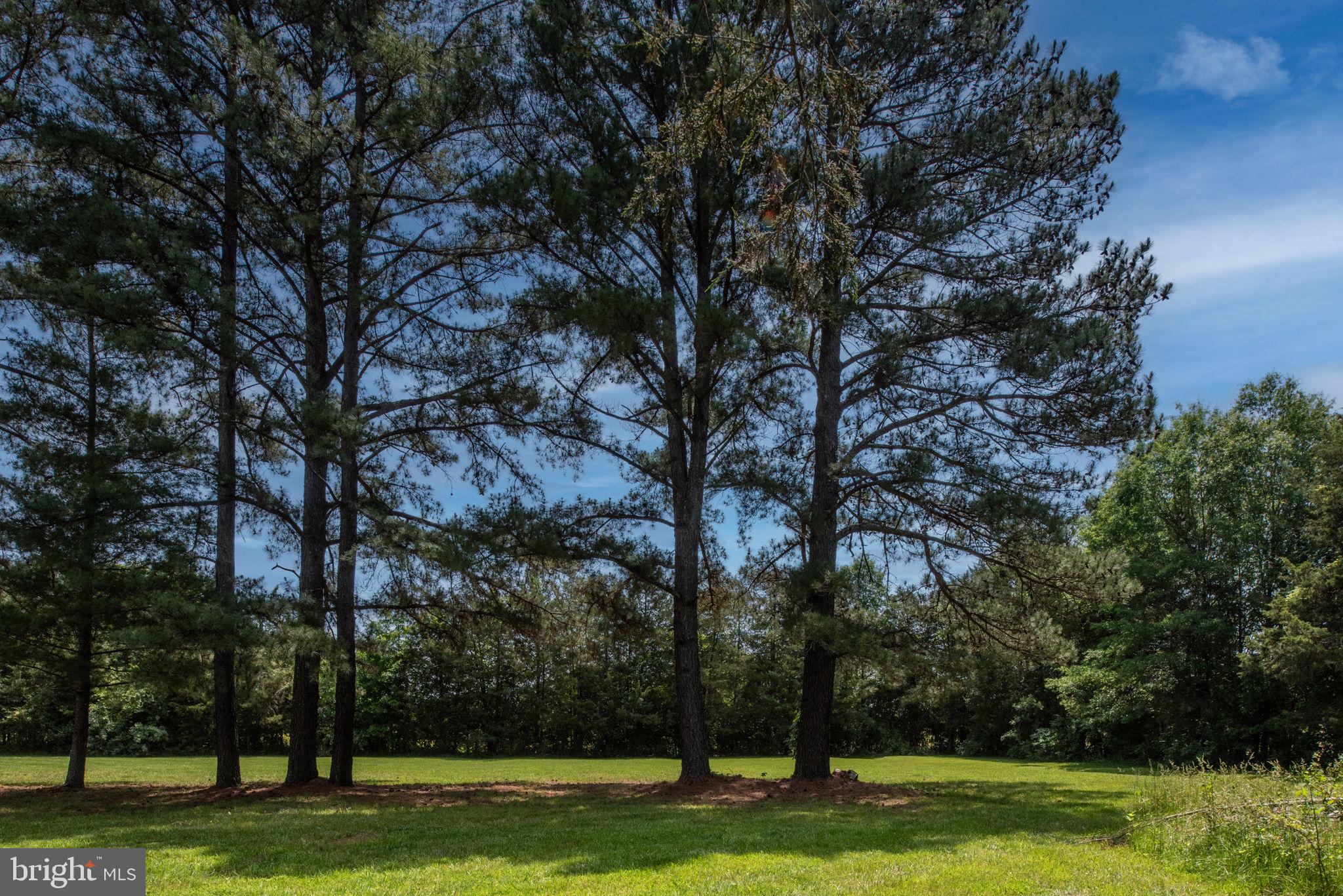 11238 Mitchell Road Rapidan, VA 22733 - Photo 77 of 93 Gallery Image 77