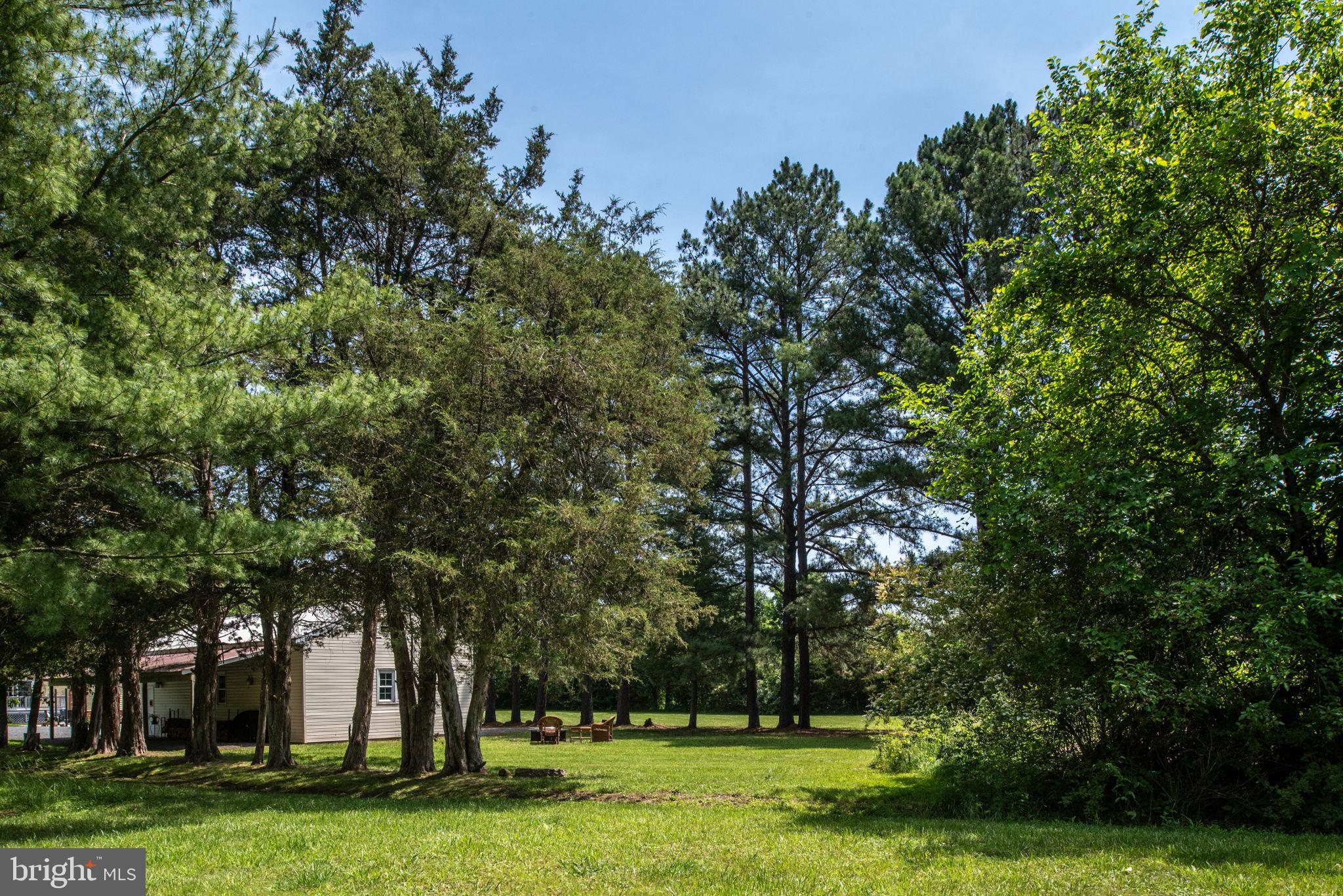 11238 Mitchell Road Rapidan, VA 22733 - Photo 78 of 93 Gallery Image 78