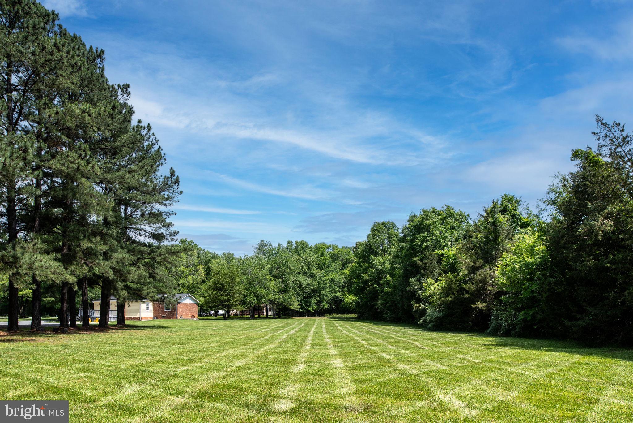 11238 Mitchell Road Rapidan, VA 22733 - Photo 82 of 93 Gallery Image 82