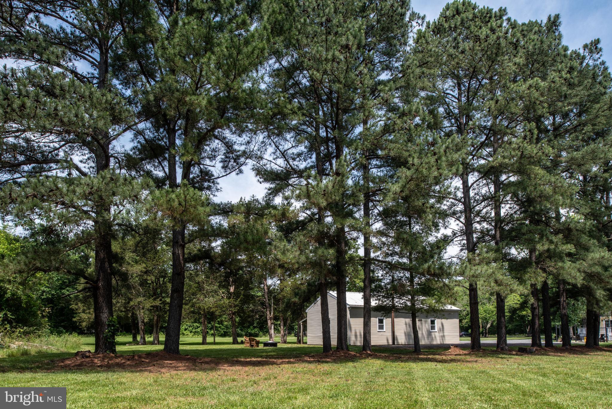 11238 Mitchell Road Rapidan, VA 22733 - Photo 85 of 93 Gallery Image 85
