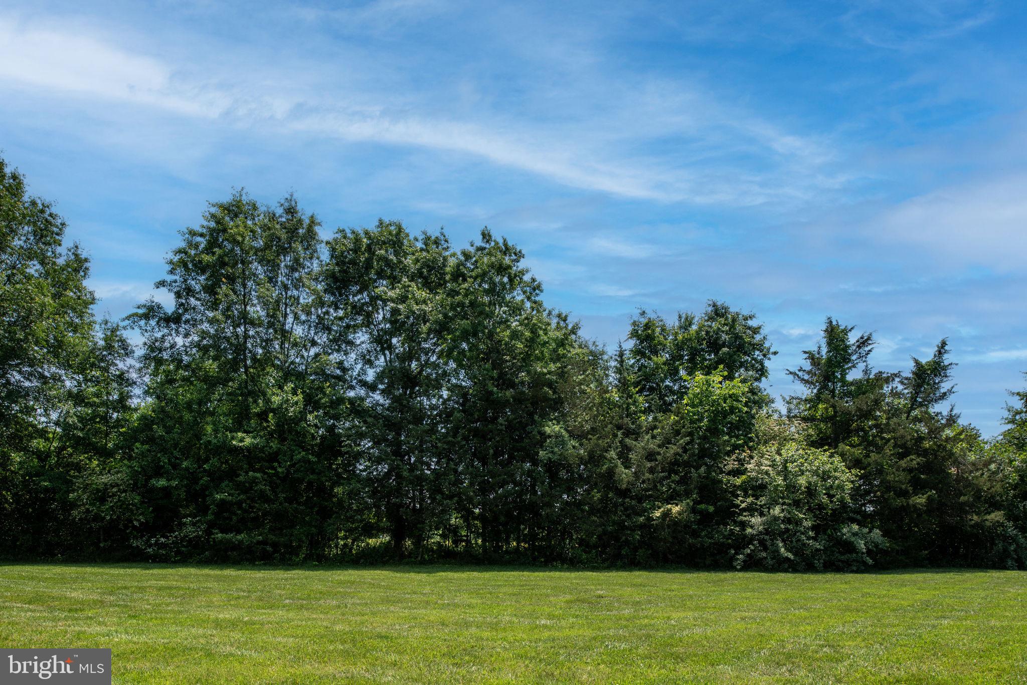 11238 Mitchell Road Rapidan, VA 22733 - Photo 87 of 93 Gallery Image 87