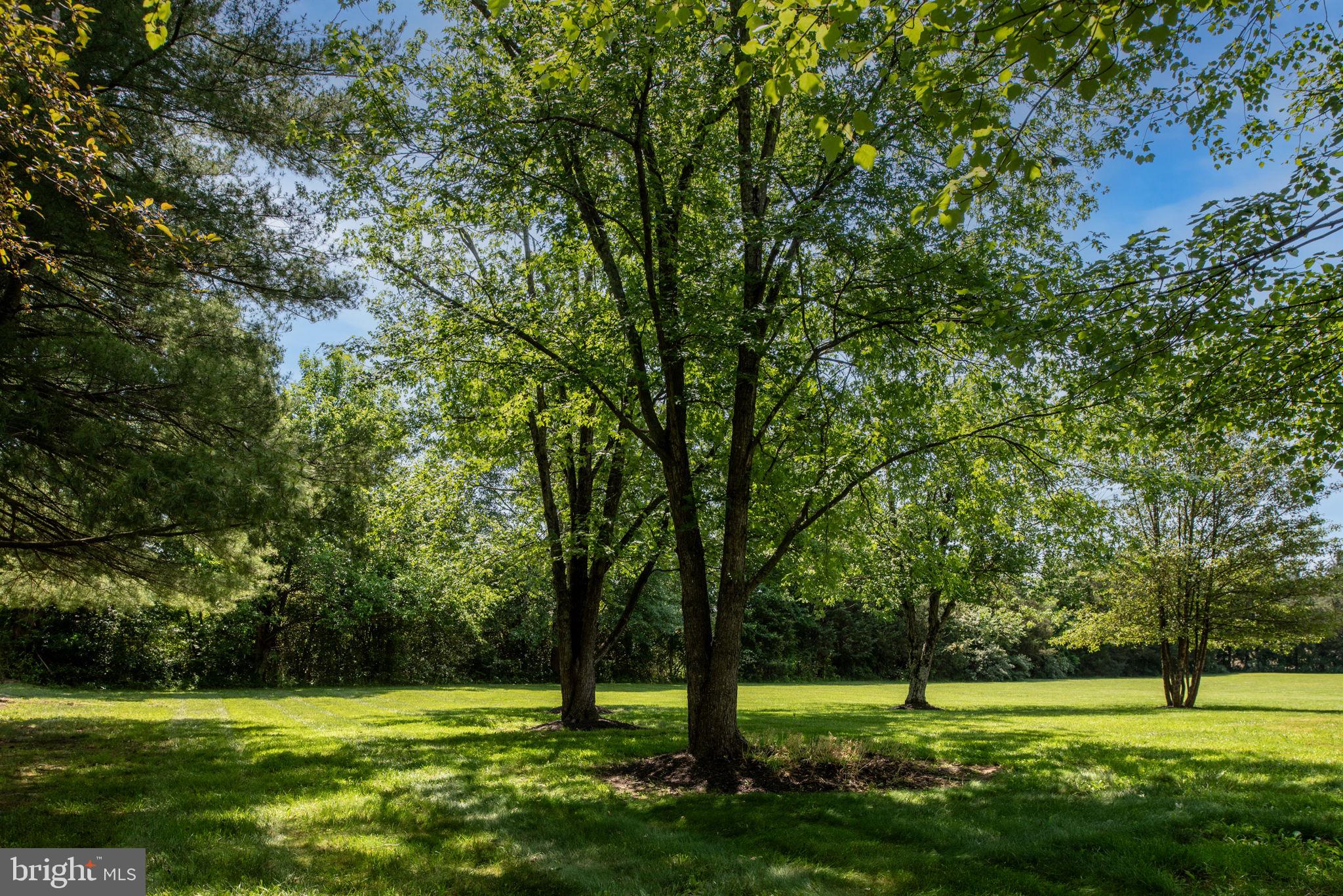 11238 Mitchell Road Rapidan, VA 22733 - Photo 10 of 93 Gallery Image 10