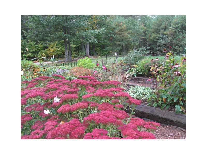 114 Ida Jim Road Alfred, ME 04002 - Photo 32 of 32 Yard/Garden.