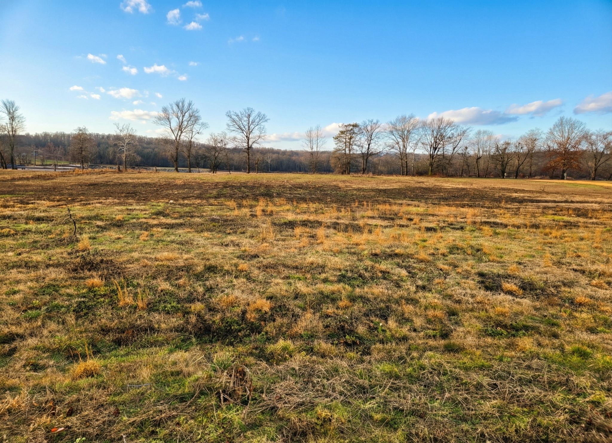 403 Hardin Btm Road Clifton, TN 38425 - Photo 5 of 7 a view of an ocean