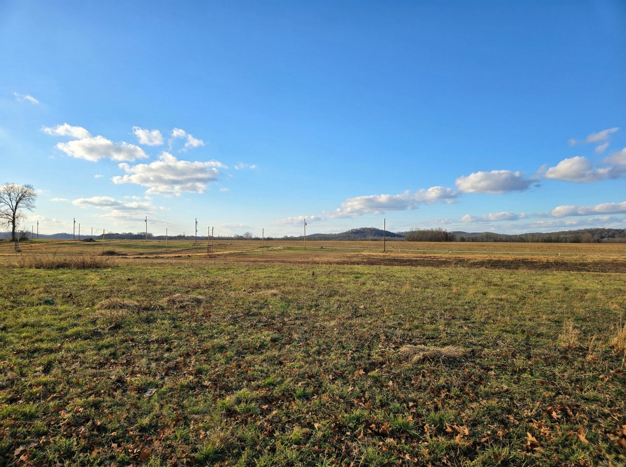 403 Hardin Btm Road Clifton, TN 38425 - Photo 6 of 7 a view of an ocean