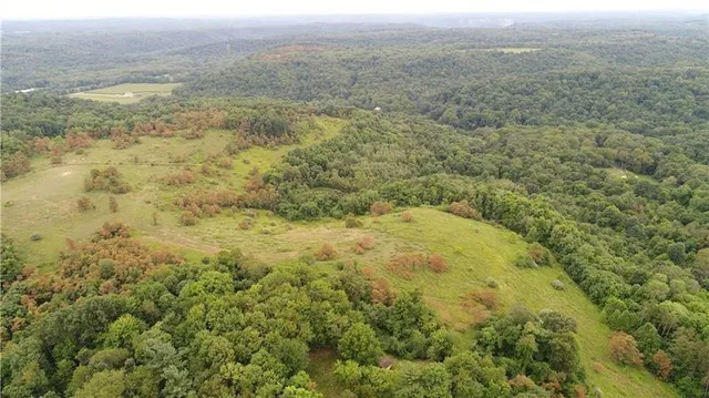 a view of a field with an ocean