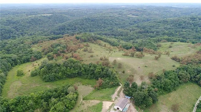 an aerial view of forest