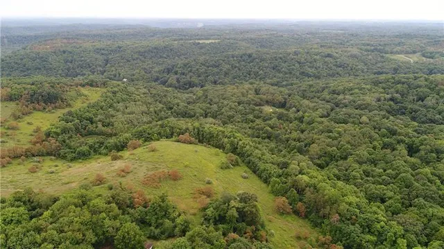 a view of a big yard with green space
