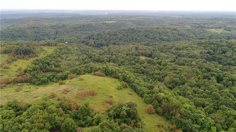 277 Ridge Road Darlington, PA 16115 - Photo 8 of 13 a view of a big yard with green space