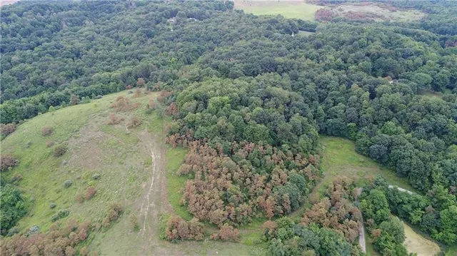 a view of a forest with a yard