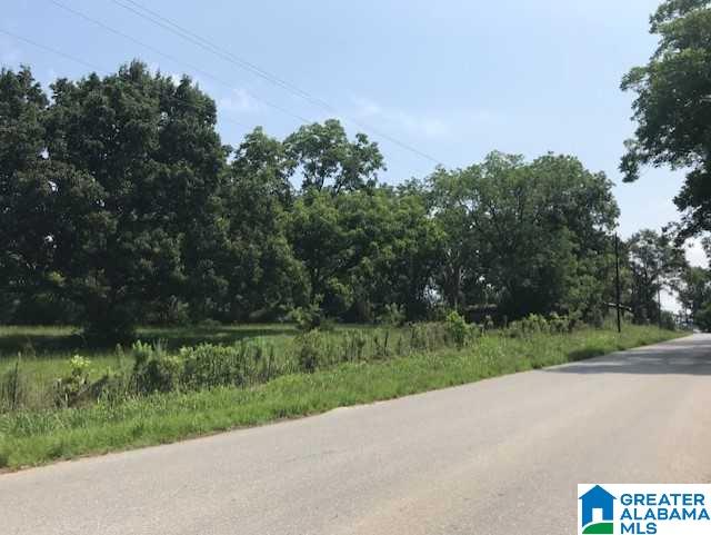 0 Jasper Dennis Road, Unit 1 Clanton, AL 35045 - Photo 1 of 2