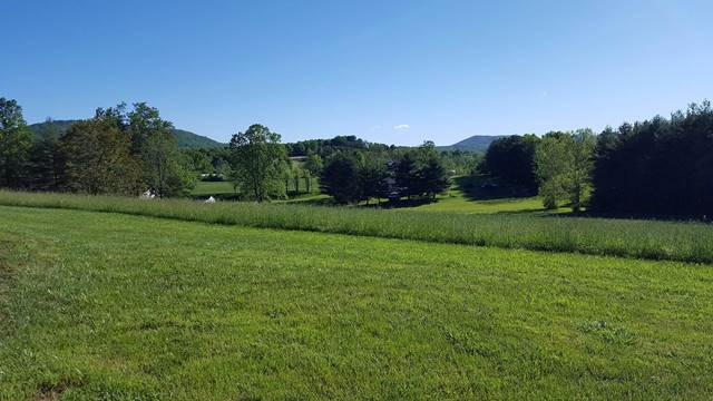 83 Rustic Ridge Road Ferrum, VA 24088 - Photo 2 of 23 Front Yard & Field