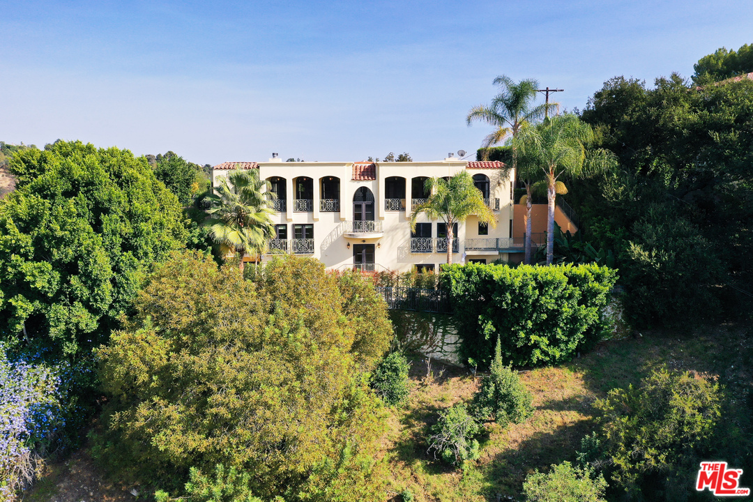 a view of a big yard with plants and large trees