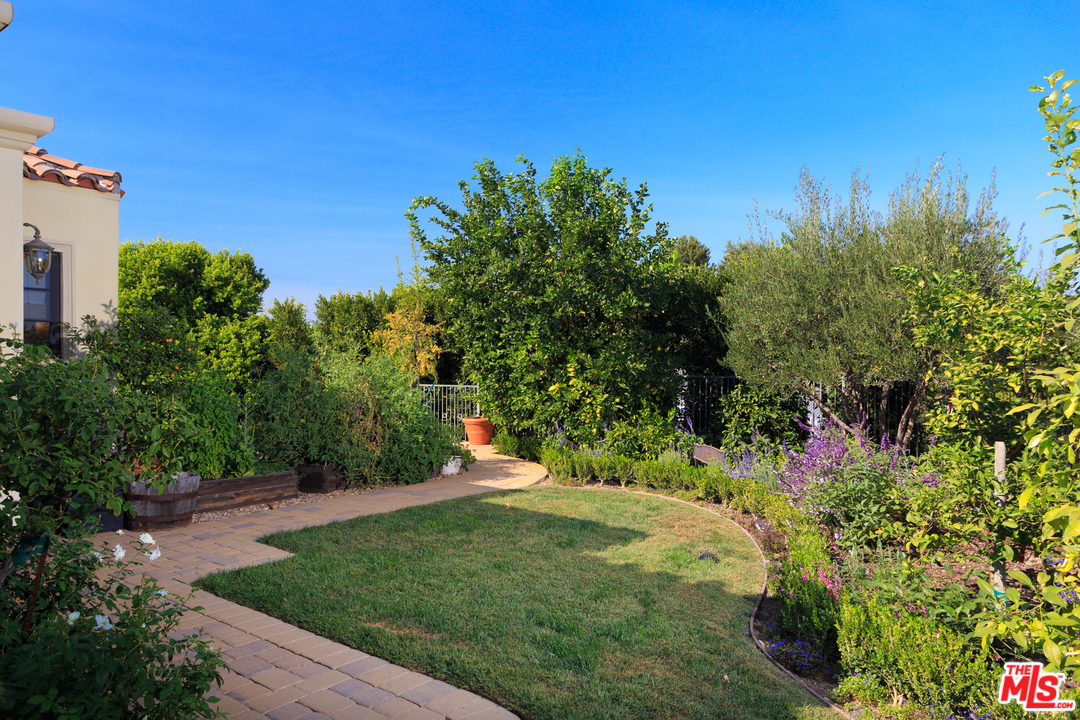 3110 Benedict Canyon Drive Beverly Hills, CA 90210 - Photo 5 of 45 a view of a garden with a building in the background
