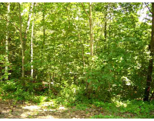 Lot 2 South Nelson Road Sterling, MA 01564 - Photo 1 of 1 Gallery Image 1