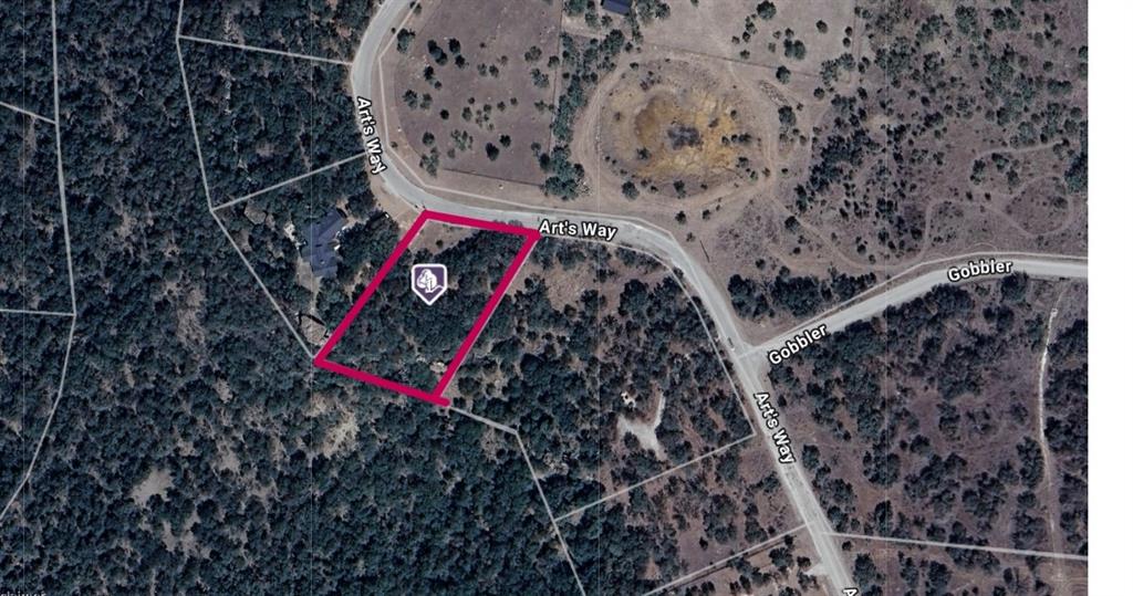 1200 Art's Way Gordon, TX 76453 - Photo 2 of 15